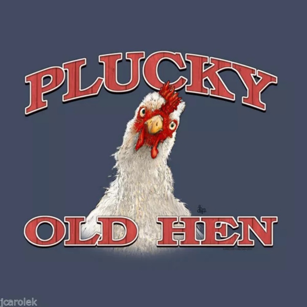 PLUCKY OLD HEN T-shirt Cotton New
